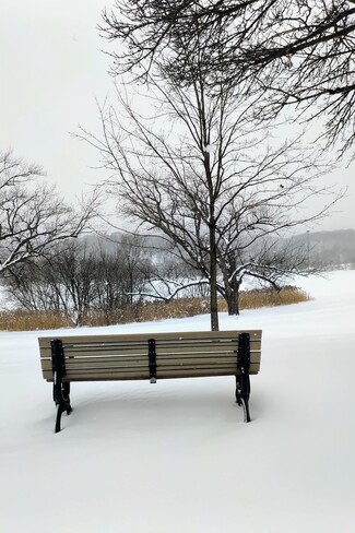 Beautiful Winter View - Snowstorm Jan 2022 Riverdale Park East, ON