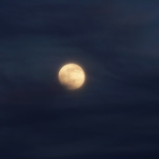 Wolf moon