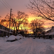 East york after the snow