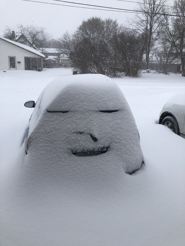 My car is smiling Trenton, Astra, Quinte West, ON