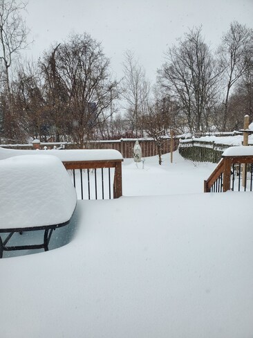 Our back yard...With Our Lady's Statue.! Scarborough, ON