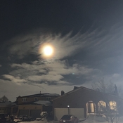 Wolf Moon after the Big Snow !