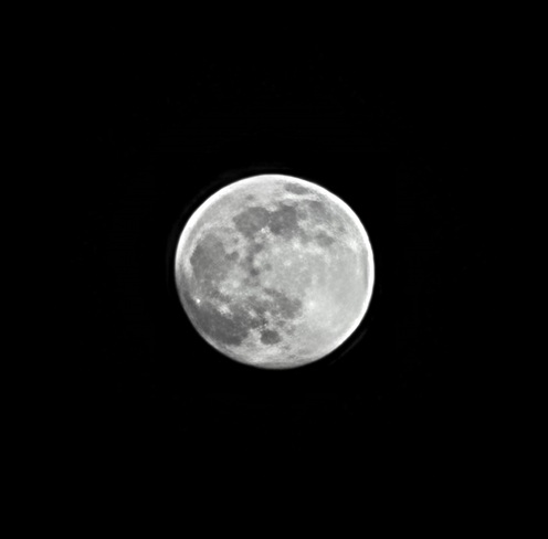 Wolf moon Moncton, NB