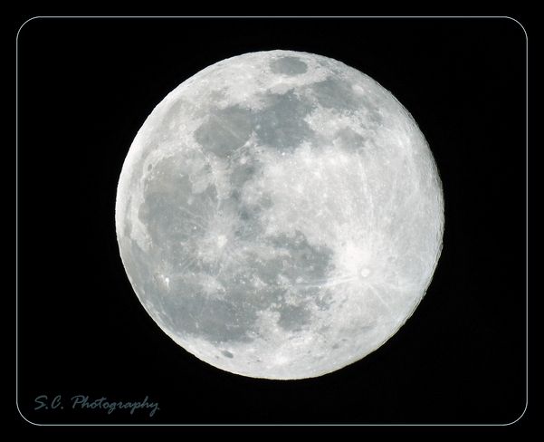Wolf Moon 2022 Cranbrook, BC