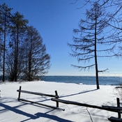 Beautiful Winter Day