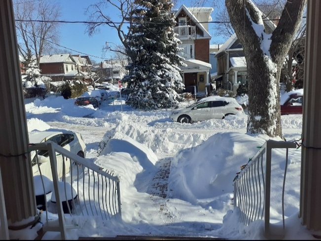 Jan.18, 2022...Day after the snow hit Toronto Danforth Village - Toronto, ON