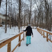 Walking in the Woods Winter Wonderland