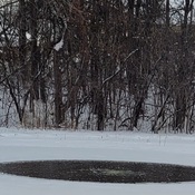 Water bubbling on the pond