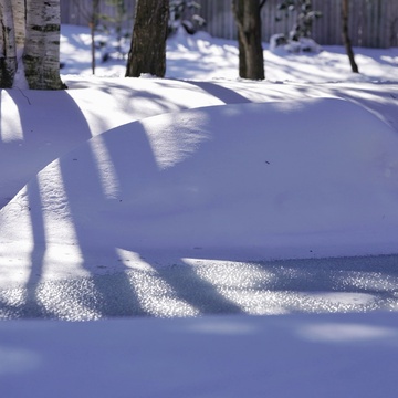 sunlight/shadow/snow