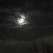Corner Brook, Nl Wolf Moon by Bun Russell