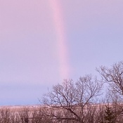 Rainbow in January