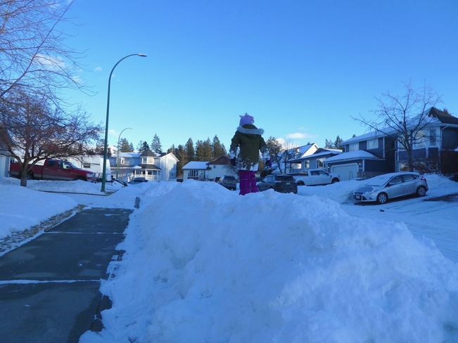 THE ATTRACTION OF SNOW PILES! Cranbrook, BC