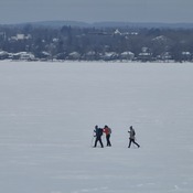 Skiers on a cold day on the Ottawa River, well it's only - 22C, -31C windchill..