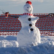 Daily changes to the Lakeview Beach Snowman