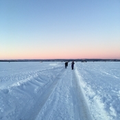 Frozen Ottawa River