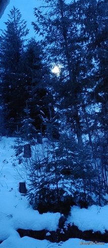 Tail end of the Wolf moon Cherryville, BC