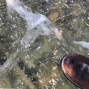 Clear ice at Fletchers Creek