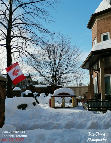 Jan 23 2022 -8C Beautiful Sunday! Cozy Winter in Thornhill Thornhill, ON