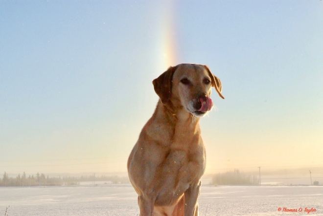 Sundog In Ice Crystal Filled Sky Leduc, AB