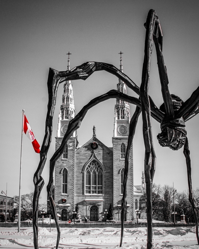 Notre Dame Cathedral basilica and Maman the spider Ottawa, Ontario, CA