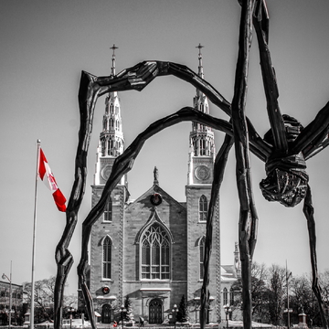 Notre Dame Cathedral basilica and Maman the spider
