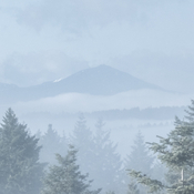 January Fog (Decourcy and Vancouver Island)