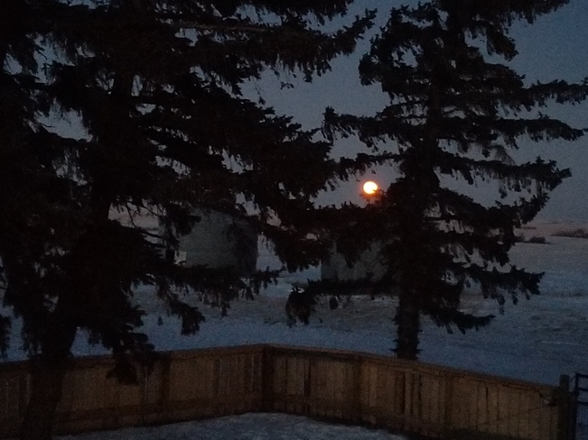 Orange moon of January 2022 Oyen, AB