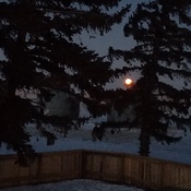 Orange moon of January 2022