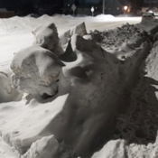 see the animals in the snow banks