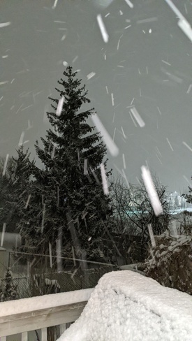 Snowy Night Kingston, ON