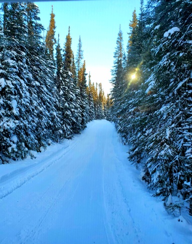 White wolf skidoo trails Labrador City, NL