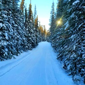 White wolf skidoo trails