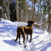 Hiking through the fresh snow