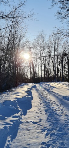 Winter sunshine at the right of way... Another cold day in Ottawa... Ottawa, ON