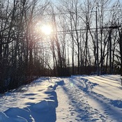 Winter sunshine at the right of way... Another cold day in Ottawa...
