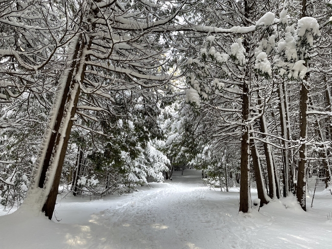 Winter Enchantment Port Elgin, Ontario, CA