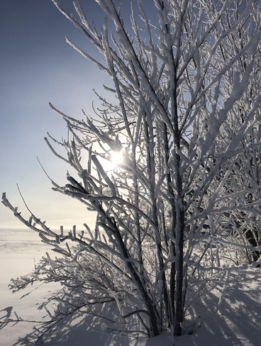 Beautiful frosty morning over Lake Nipissing Nipissing 10, Ontario, CA