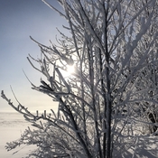 Beautiful frosty morning over Lake Nipissing