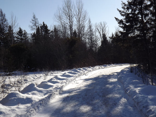 ONE of many TRAILS 101 Deer Lake Road, Thunder Bay, ON P7B 7B3, Canada