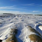 round bales under snowdrifts