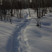 A Day Snowshoeing