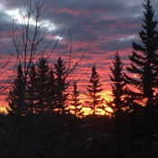 Sunrise, Calgary Jan. 26, 2022