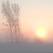 Brouillard d&#39;hiver matinal
