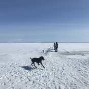Pêche sur la glace