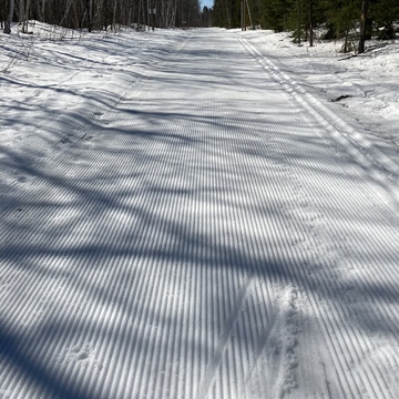 Ski de fond de printemps