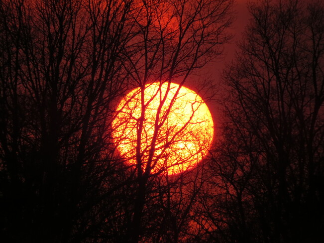 Sun and the Moon. Bridgewater, NS