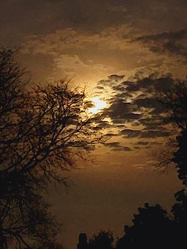 scorpio blood moon rising Rosedale-Moore Park, ON