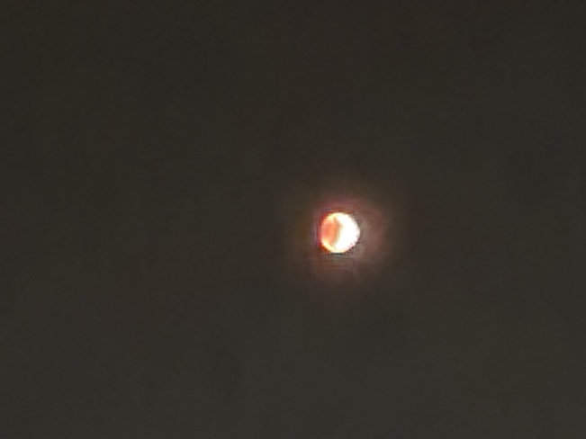 Total Lunar Eclipse Sydney, NS