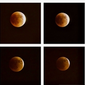 Lunar Eclipse From Ottawa