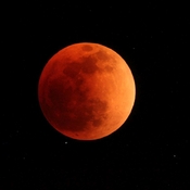 Totally Eclipsed Moon